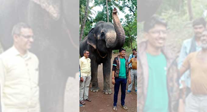 Hyderabad: Elephant from Kolhapur to carry Bibi ka Alam