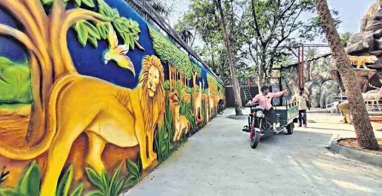 Safari at Nehru Zoo to reopen soon