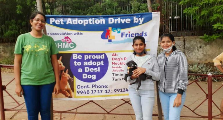 Hyderabadis connect to stray puppies at KBR Park