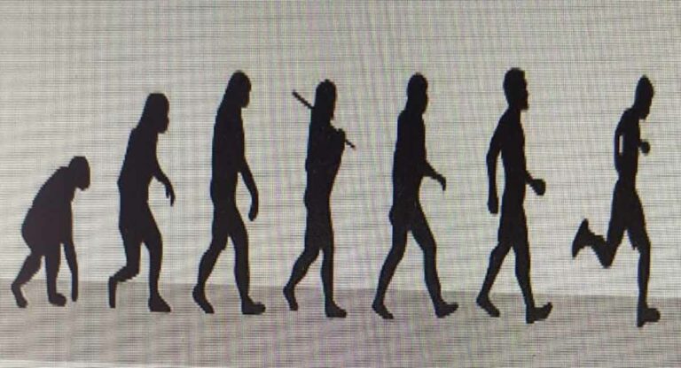 Evolution a rapid process all the time, say researchers