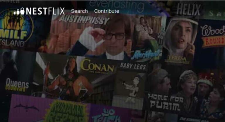 Get on to Nestflix to watch fake movies and shows